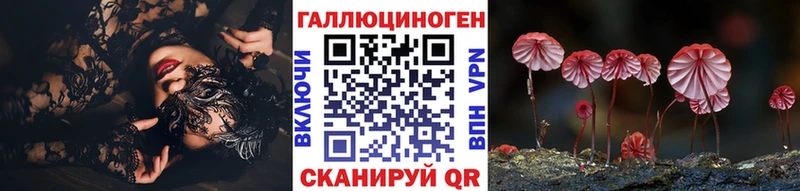 как найти   Белгород  Псилоцибиновые грибы Cubensis 