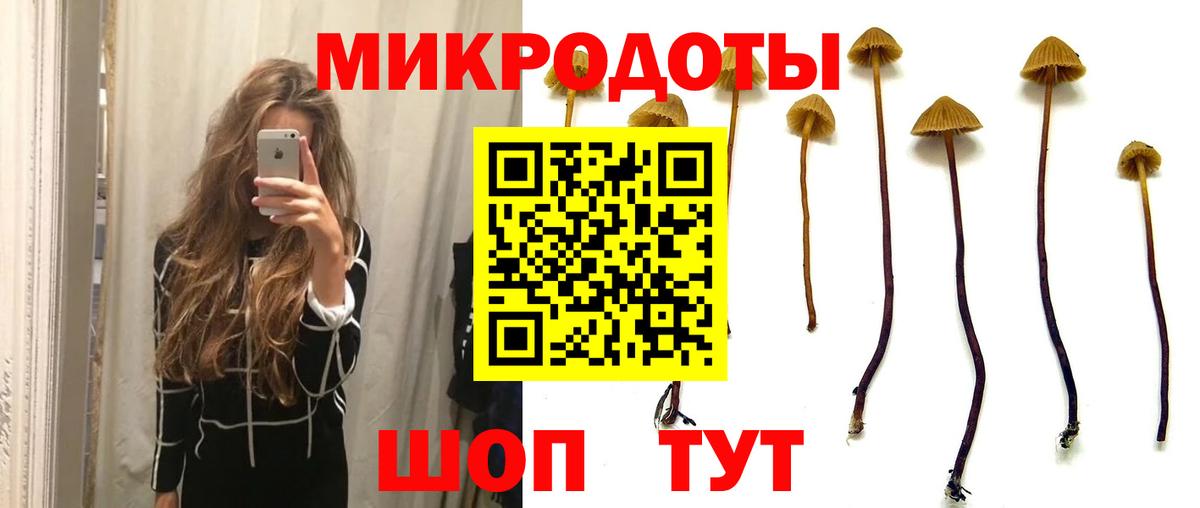 Псилоцибиновые грибы Psilocybine cubensis  Псилоцибиновые грибы ЛСД  Белгород 