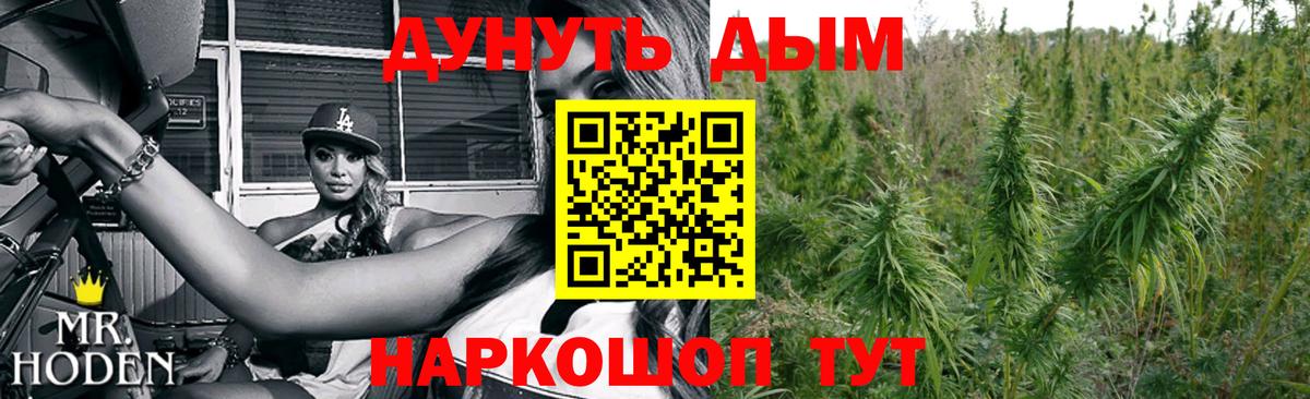 Белгород  Каннабис Amnesia  Бошки марихуана White Widow  Бошки Шишки семена  Конопля Bruce Banner  Вход с VPN 